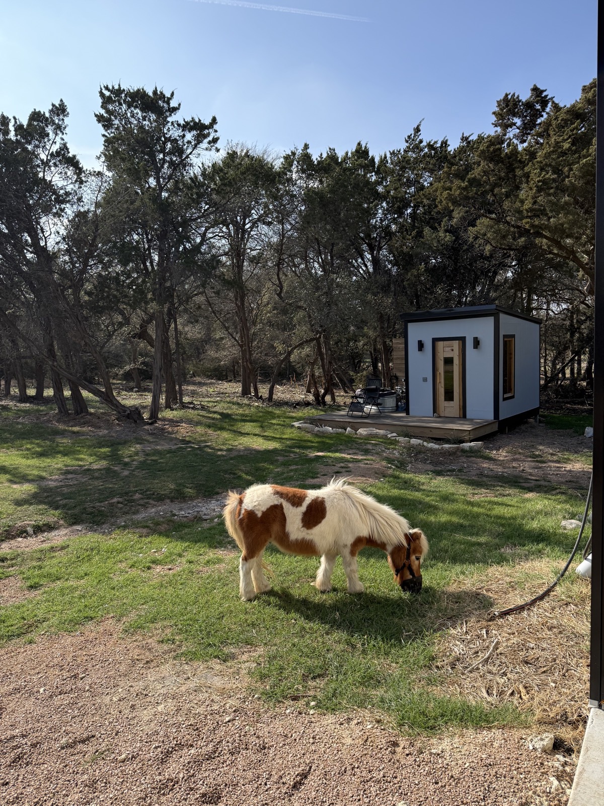 Outdoor sauna and cold plunge overlooking the pasture